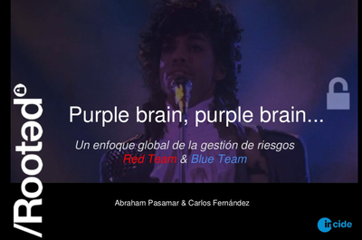Xerrada: "Purple brain, purple brain". a càrrec d'Abraham Pasamar de l'empresa INCIDE Digital