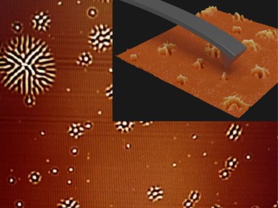 Conferència "Trencant la periodicitat dels sòlids: Un camí cap al disseny de materials funcionals" dins del actes de celebració de Sant Gabriel - 11 de novembre